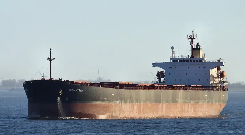SM GOSEONG Bulk Carrier IMO 9291420 photo 13