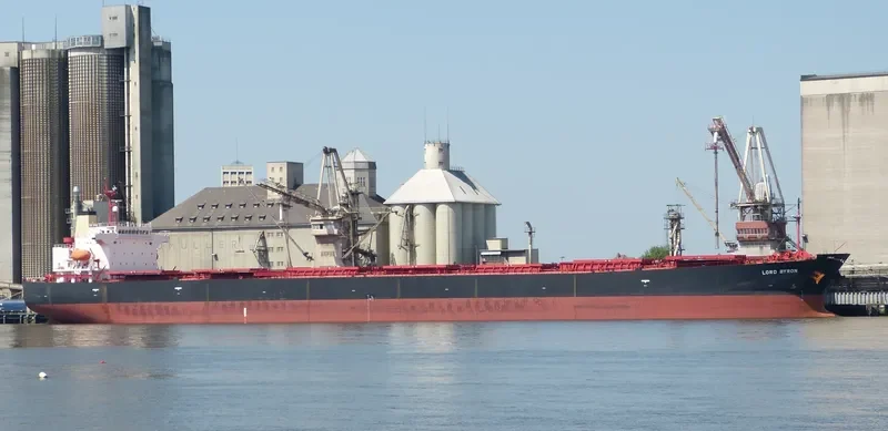 SM GOSEONG Bulk Carrier IMO 9291420 photo 29