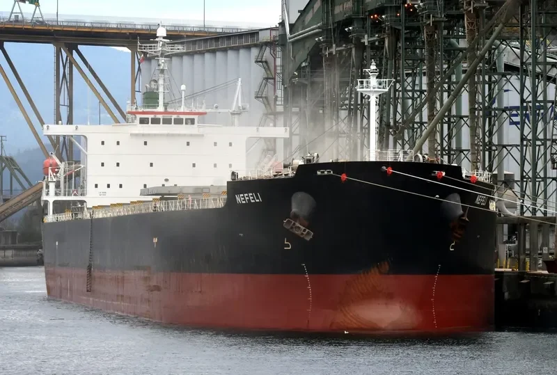NEFELI Bulk Carrier IMO 9291432 photo 2