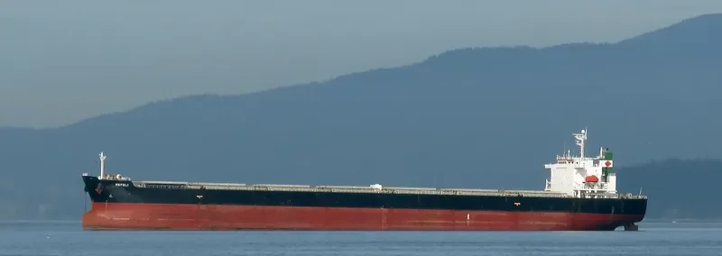 NEFELI Bulk Carrier IMO 9291432 photo 7