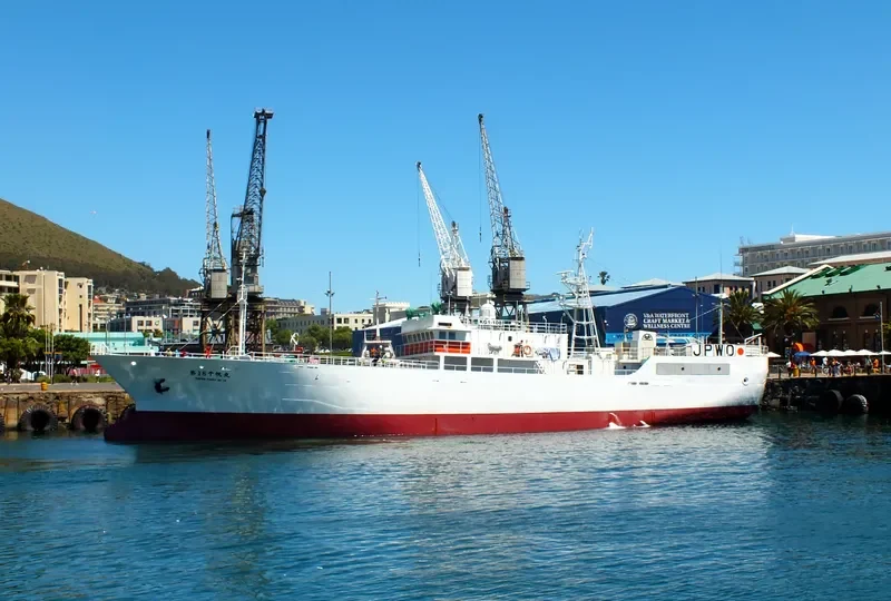 CHIHO MARU NO.18 General Cargo IMO 9291482 photo 2