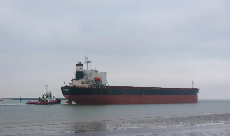 AGIOS NIKOLAS Bulk Carrier IMO 9291779
