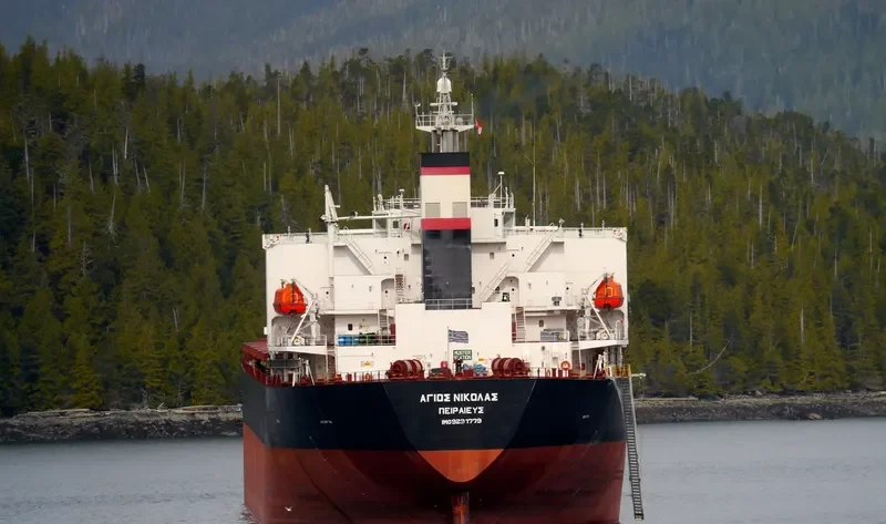 AGIOS NIKOLAS Bulk Carrier IMO 9291779 photo 8