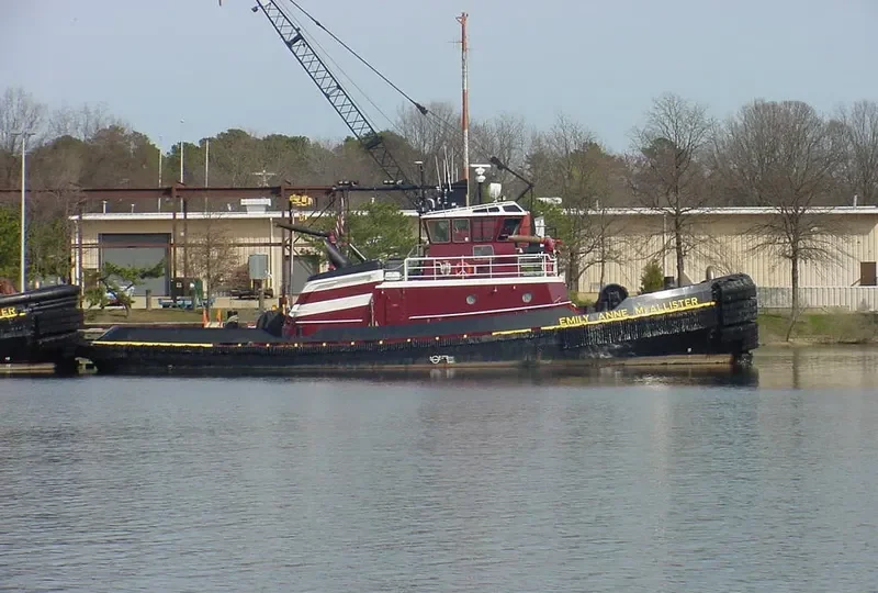 EMILY ANNE MCALLISTER General Cargo IMO 9291834 photo 10