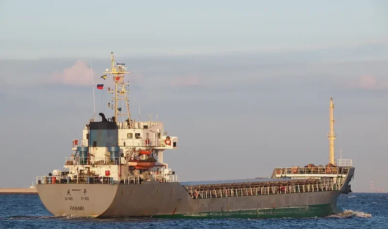 QING PING Bulk Carrier IMO 9291937 photo 6