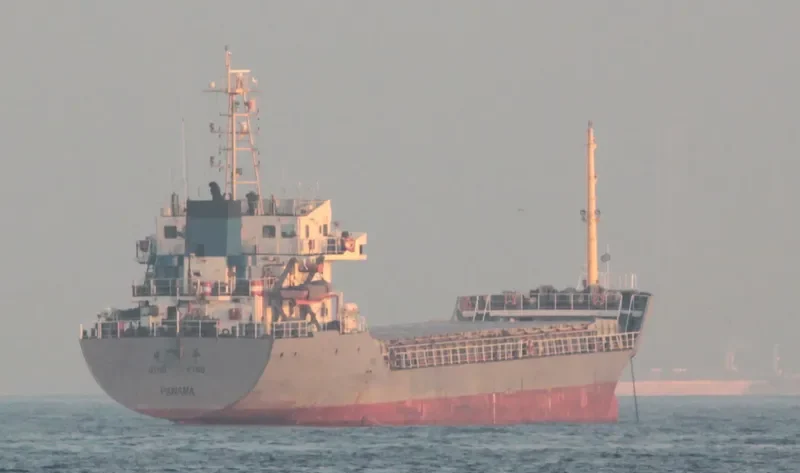 QING PING Bulk Carrier IMO 9291937 photo 8