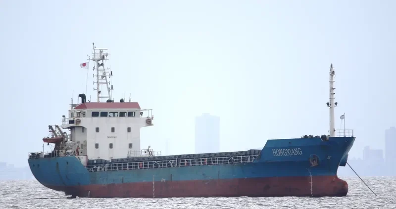 HONGXIANG Bulk Carrier IMO 9291951 photo 10