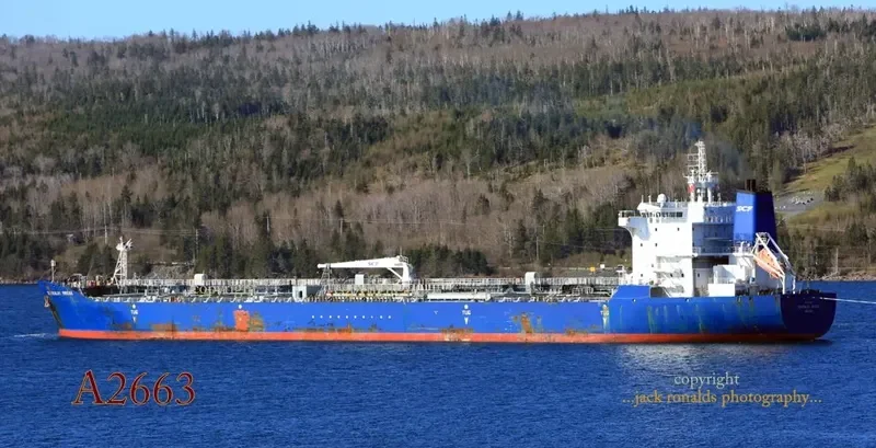 TEATRALNY BRIDGE Tanker IMO 9292058 photo 10