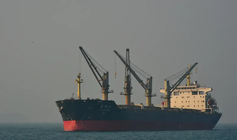 JIA XIN SHAN Bulk Carrier IMO 9292395