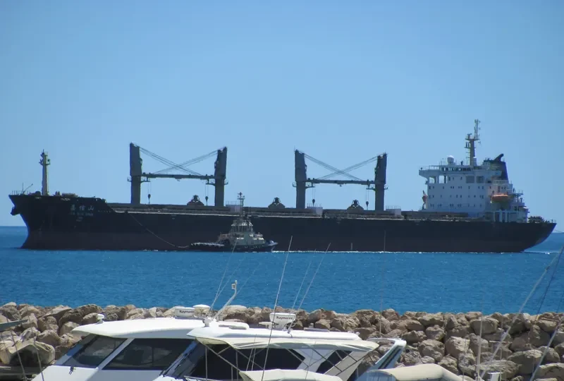 JIA XIN SHAN Bulk Carrier IMO 9292395 photo 2