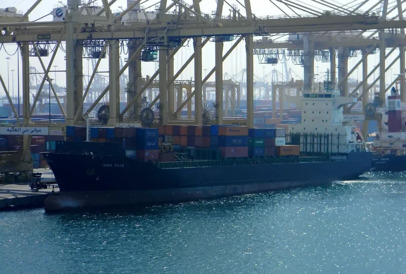 AS FLORA Container Ship IMO 9292462