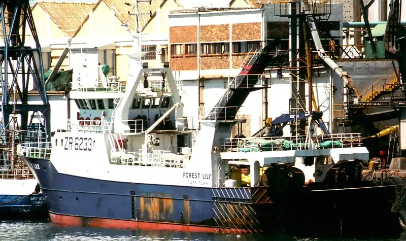 FOREST LILY General Cargo IMO 9293480 photo 5