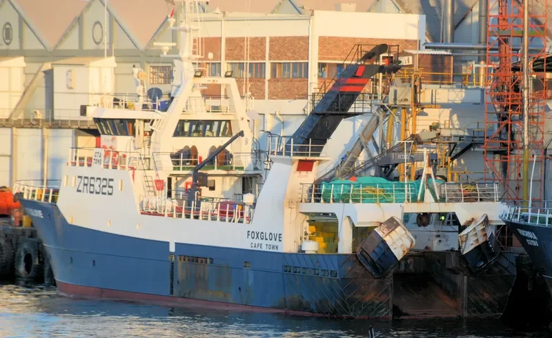 FOXGLOVE General Cargo IMO 9293492