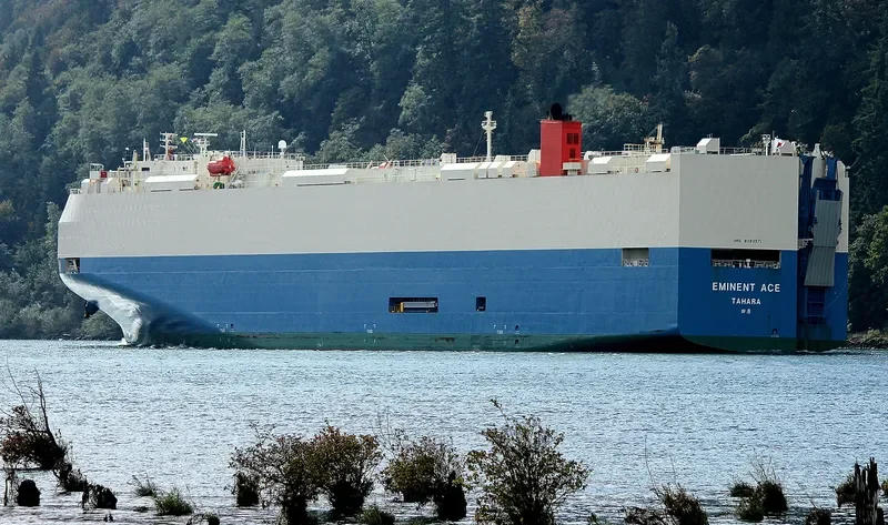 EMINENT ACE General Cargo IMO 9293571 photo 5