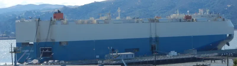 EMINENT ACE General Cargo IMO 9293571 photo 8