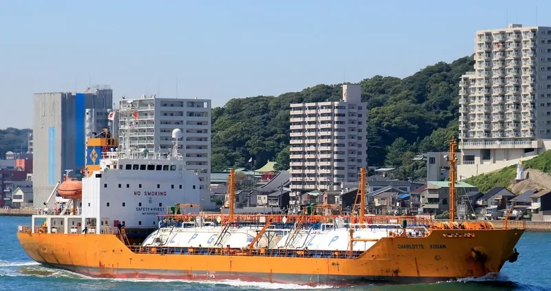 SEA LIBERTY General Cargo IMO 9293600 photo 6