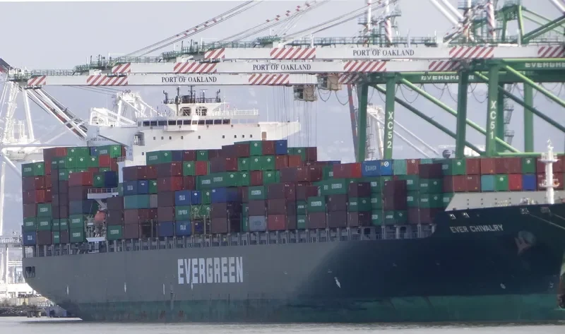 CONTI CHIVALRY Container Ship IMO 9293791