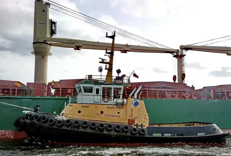 OLEG STRASHNOV General Cargo IMO 9294056