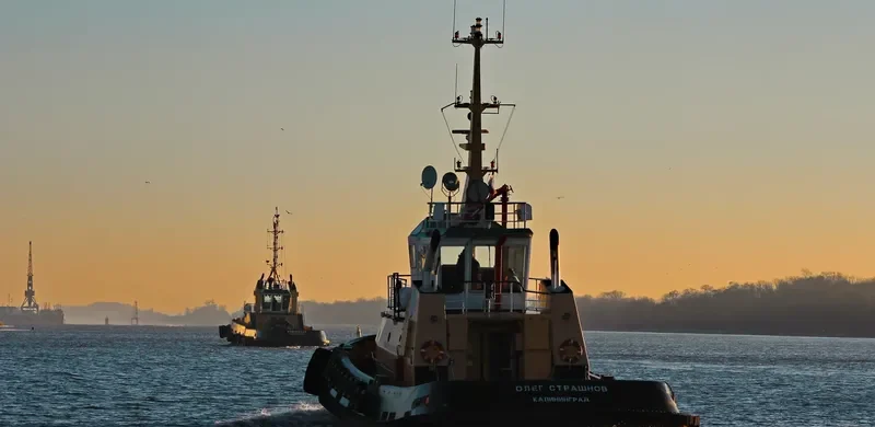 OLEG STRASHNOV General Cargo IMO 9294056 photo 3