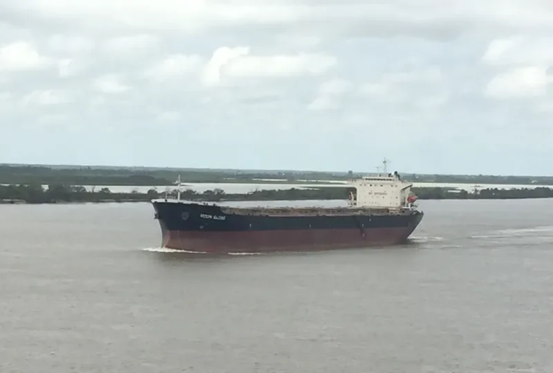 MOON GLOBE Bulk Carrier IMO 9294111 photo 7