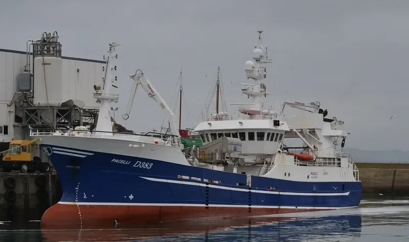 PACELLI General Cargo IMO 9294446 photo 3