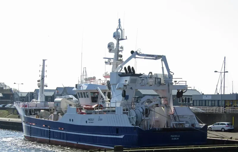 PACELLI General Cargo IMO 9294446 photo 9
