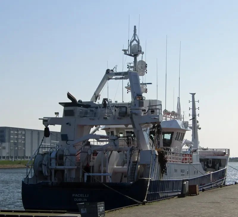 PACELLI General Cargo IMO 9294446 photo 10