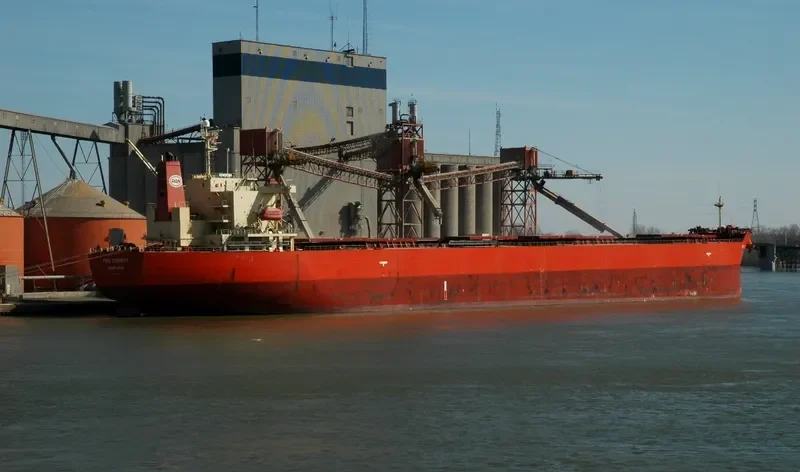 MINOAN DIGNITY Bulk Carrier IMO 9294484 photo 5