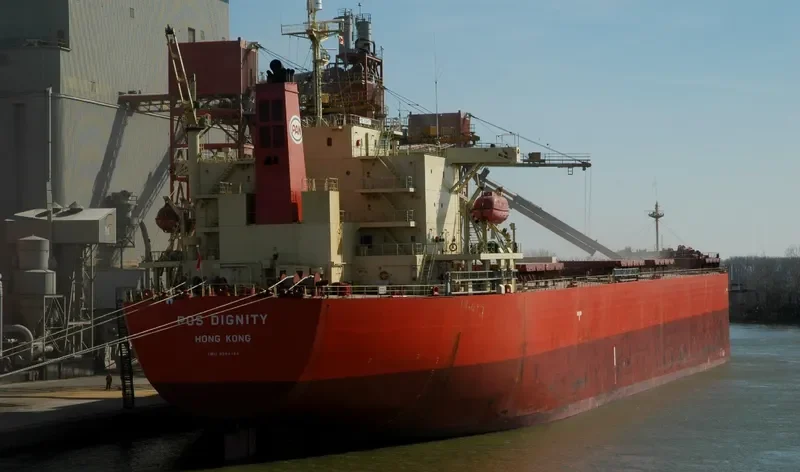 MINOAN DIGNITY Bulk Carrier IMO 9294484 photo 6