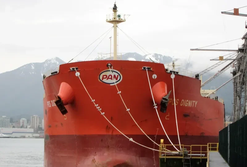 MINOAN DIGNITY Bulk Carrier IMO 9294484 photo 8
