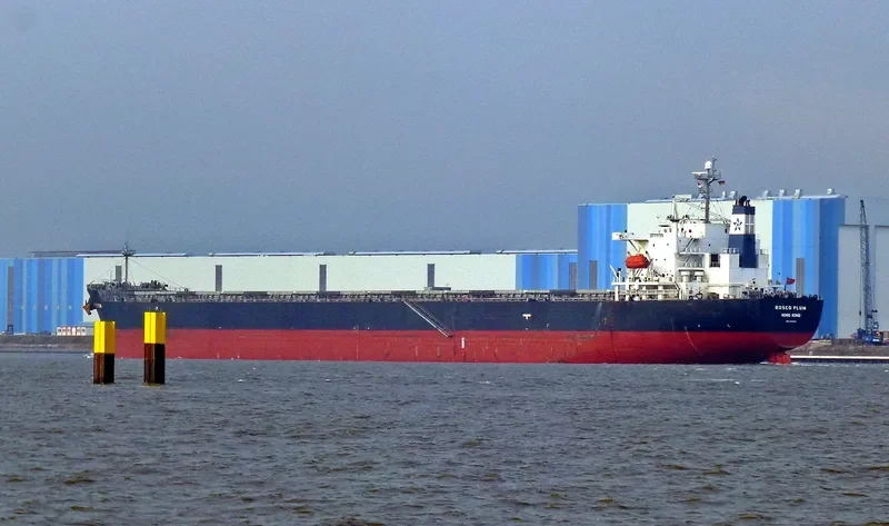 ROSCO PLUM Bulk Carrier IMO 9294496
