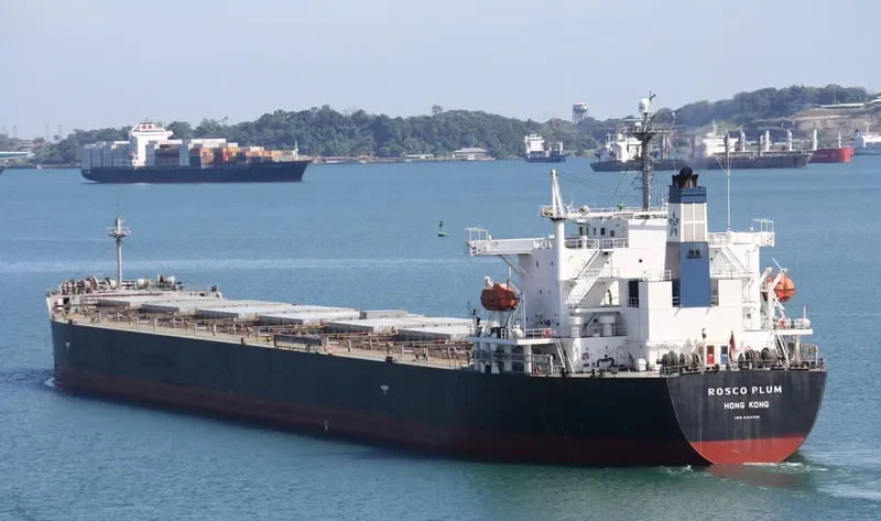 ROSCO PLUM Bulk Carrier IMO 9294496 photo 7