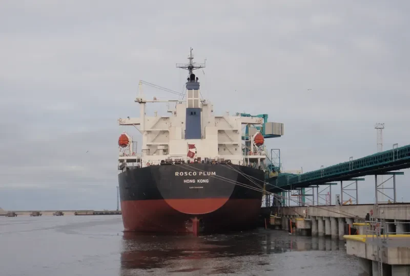 ROSCO PLUM Bulk Carrier IMO 9294496 photo 9