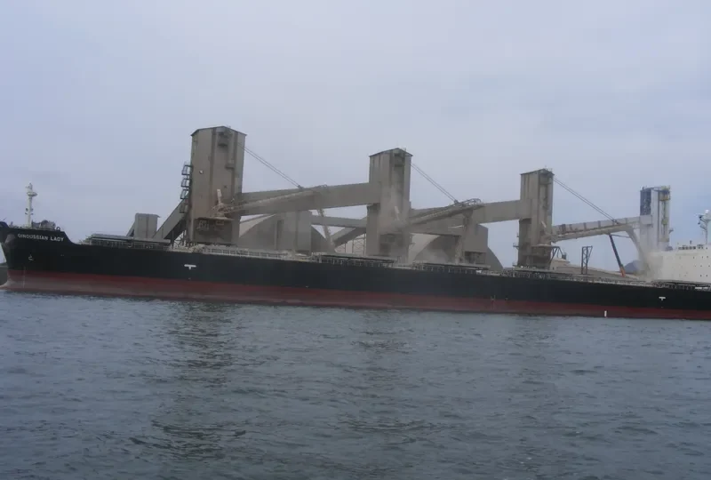 BLESSED LUCK Bulk Carrier IMO 9294501 photo 2