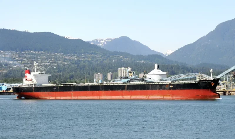 BLESSED LUCK Bulk Carrier IMO 9294501 photo 7