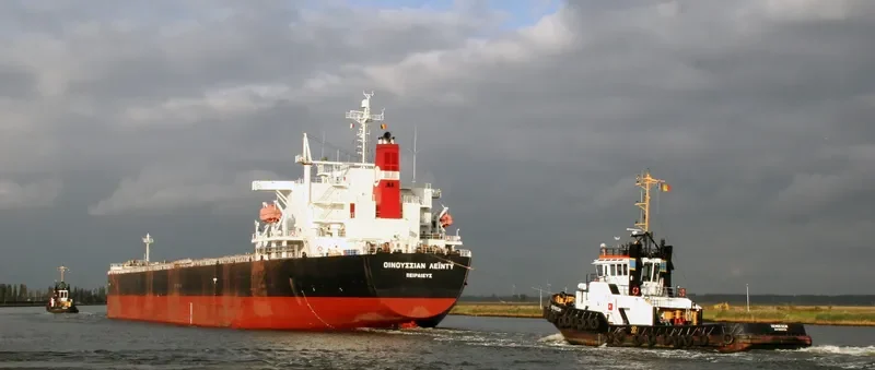 BLESSED LUCK Bulk Carrier IMO 9294501 photo 10
