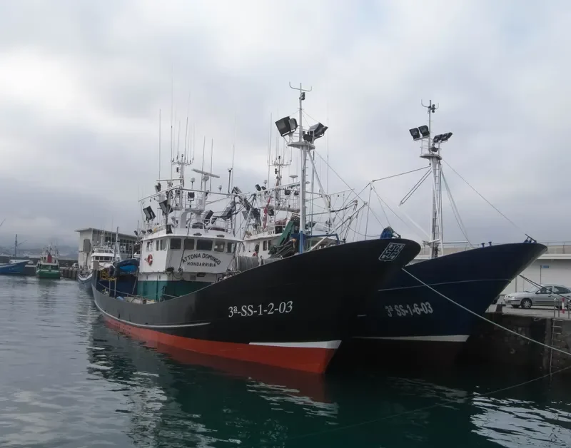 ATTONA DOMINGO General Cargo IMO 9294898