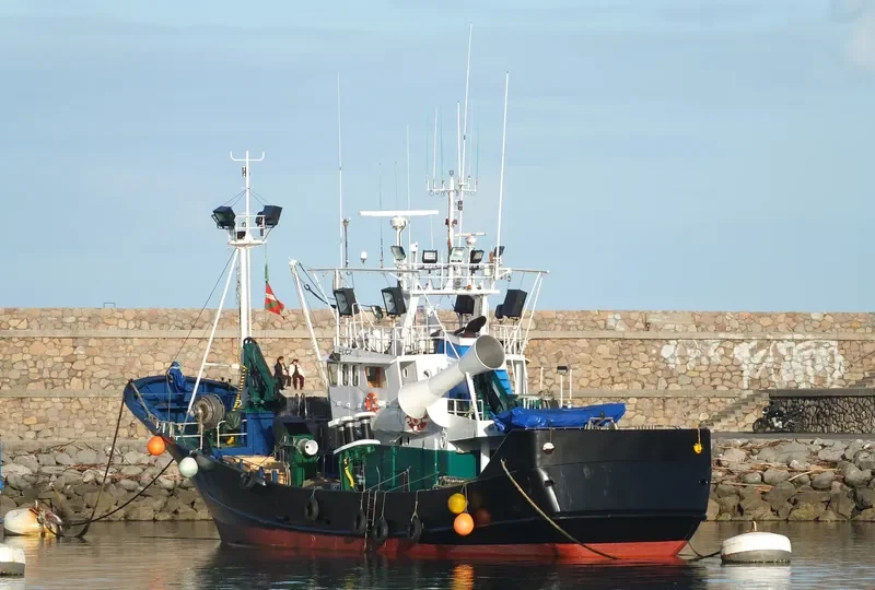 ATTONA DOMINGO General Cargo IMO 9294898 photo 4