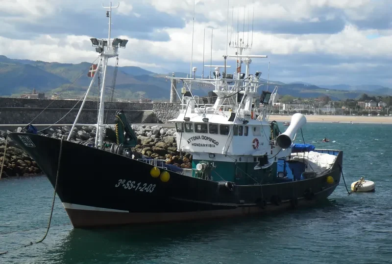 ATTONA DOMINGO General Cargo IMO 9294898 photo 7