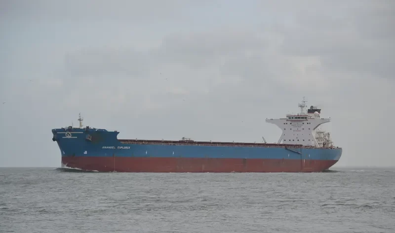 ANANGEL EXPLORER Bulk Carrier IMO 9295012 photo 2