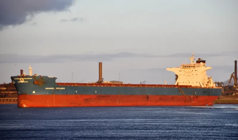 ANANGEL EXPLORER Bulk Carrier IMO 9295012 photo 3