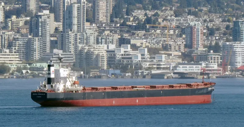 GRAECIA UNIVERSALIS Bulk Carrier IMO 9295127 photo 8