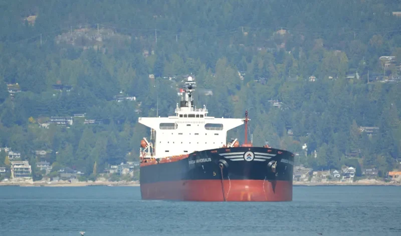 GRAECIA UNIVERSALIS Bulk Carrier IMO 9295127 photo 10