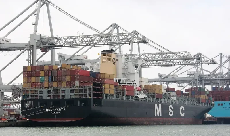 MSC MARTA Container Ship IMO 9295385