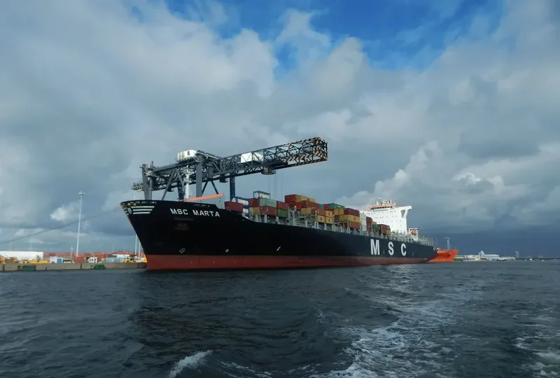 MSC MARTA Container Ship IMO 9295385 photo 3
