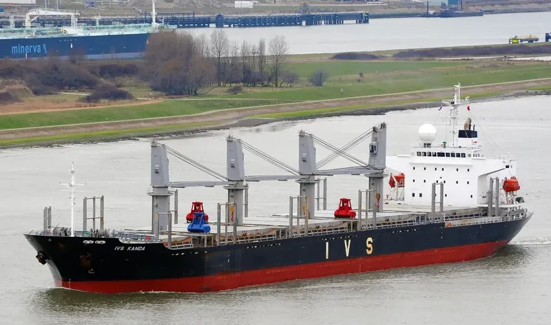 QUEEN JUDI Bulk Carrier IMO 9295567 photo 3