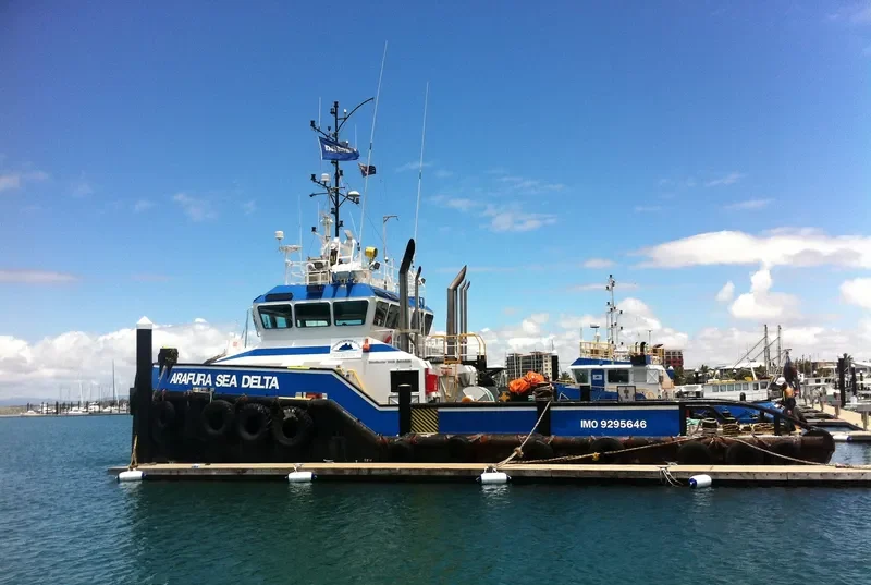 ARAFURA SEA DELTA General Cargo IMO 9295646 photo 3