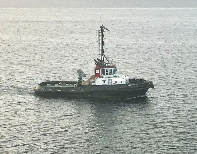 NEC MAJESTIC General Cargo IMO 9295828 photo 10