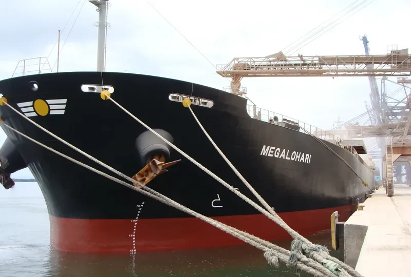 MEGALOHARI Bulk Carrier IMO 9296066 photo 5
