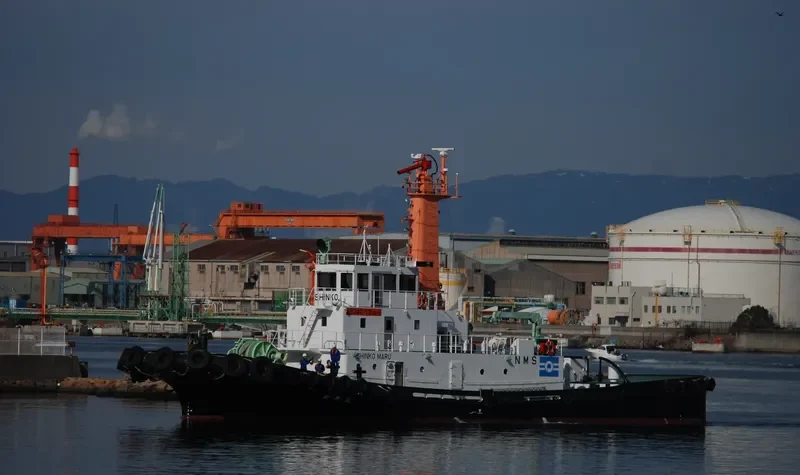SHINKO MARU General Cargo IMO 9296080 photo 6